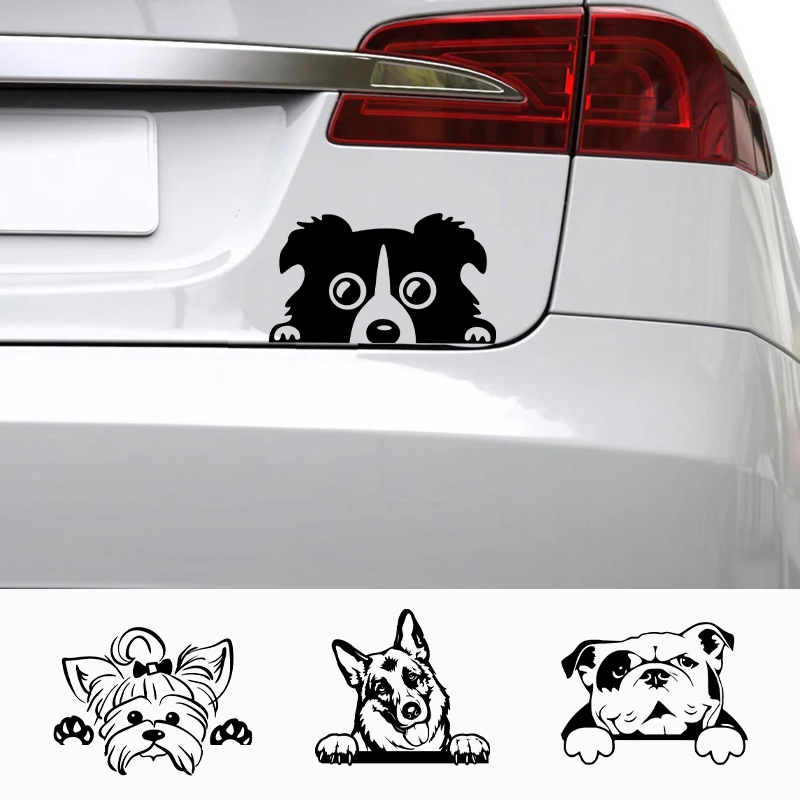 Cars Accessorie Decals Funny D - Car Accessories Name 评论和价格