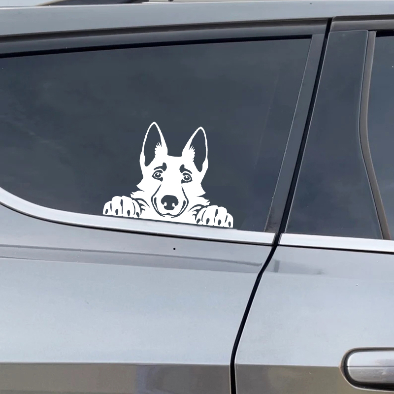Cars Accessorie Decals Funny D - Car Accessories Name 评论和价格
