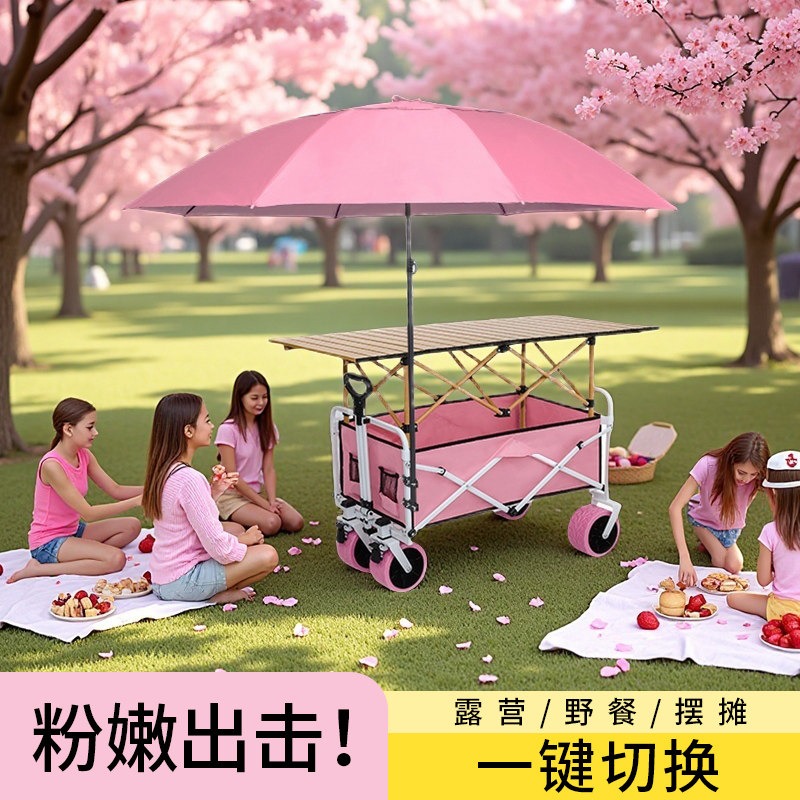 Pink Camper Folding Stall Trol - Car Accessories You Must Have 评论和价格