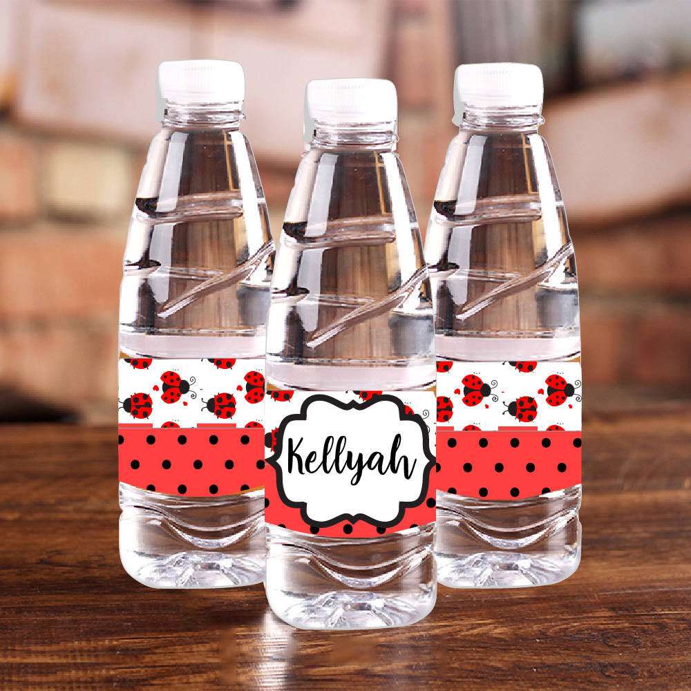 Personalised Ladybug Red Polka - Car Accessories Name 评论和价格